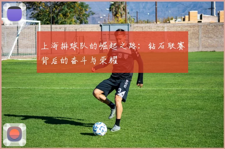 上海排球队的崛起之路:钻石联赛背后的奋斗与荣耀