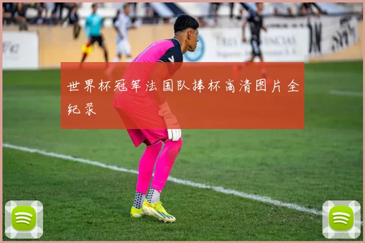 世界杯冠军法国队捧杯高清图片全纪录