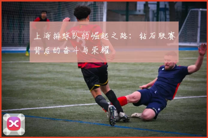 上海排球队的崛起之路:钻石联赛背后的奋斗与荣耀