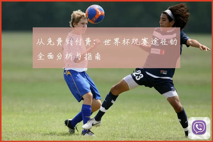 从免费到付费:世界杯观赛途径的全面分析与指南