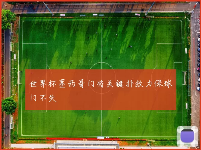 世界杯墨西哥门将关键扑救力保球门不失
