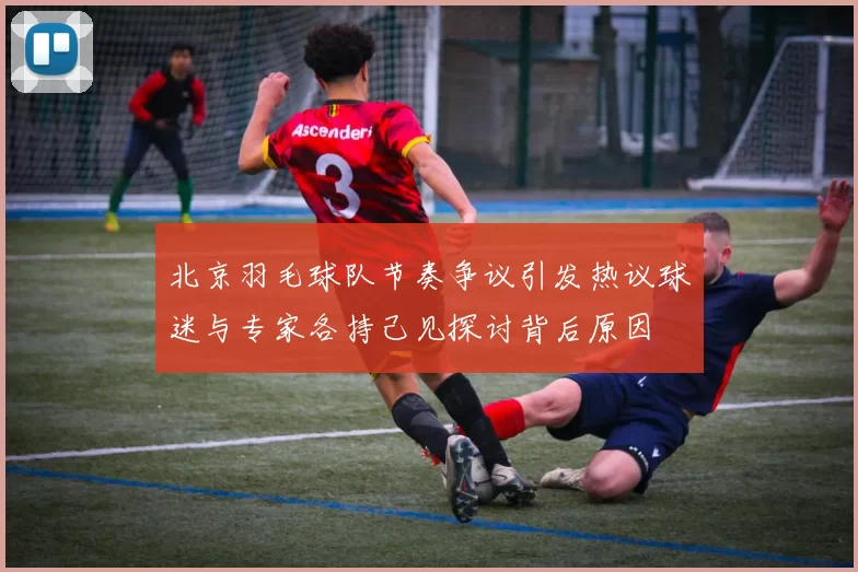 北京羽毛球队节奏争议引发热议球迷与专家各持己见探讨背后原因