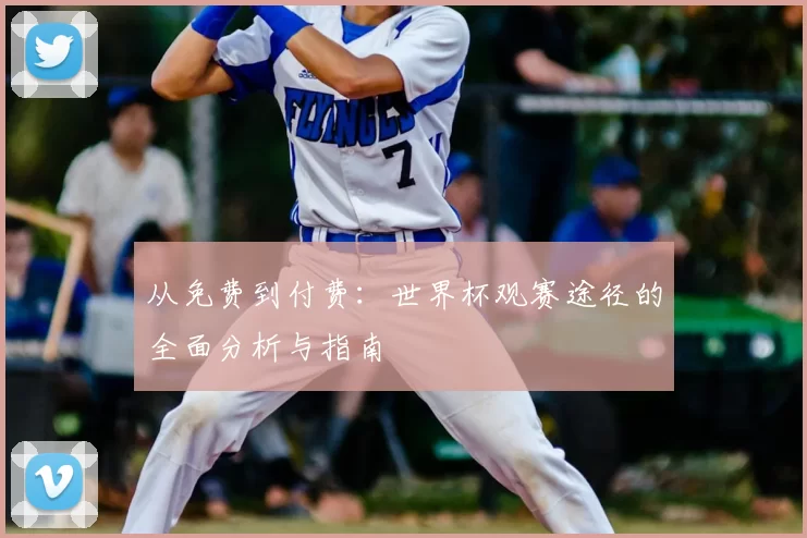 从免费到付费:世界杯观赛途径的全面分析与指南