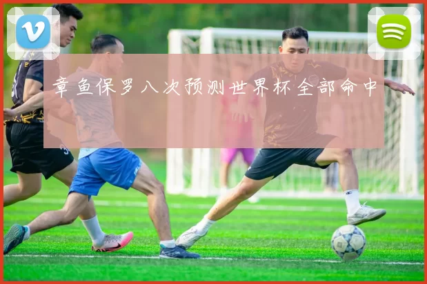 章鱼保罗八次预测世界杯全部命中