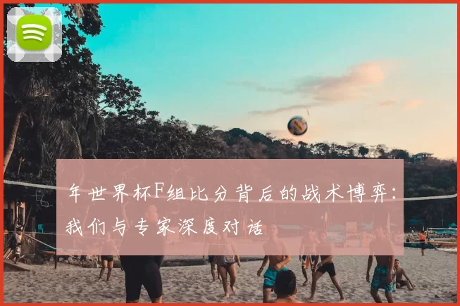 年世界杯F组比分背后的战术博弈:我们与专家深度对话