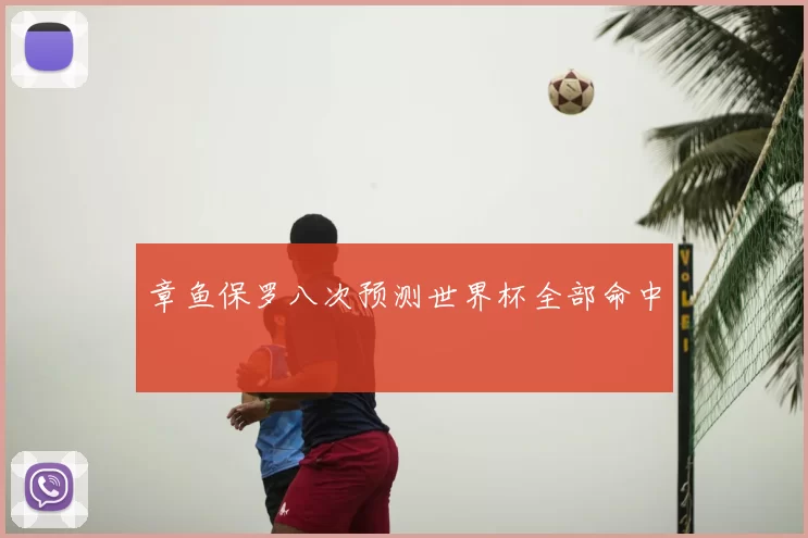 章鱼保罗八次预测世界杯全部命中