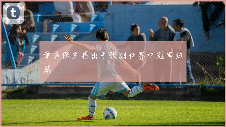 章鱼保罗再出手预测世界杯冠军归属