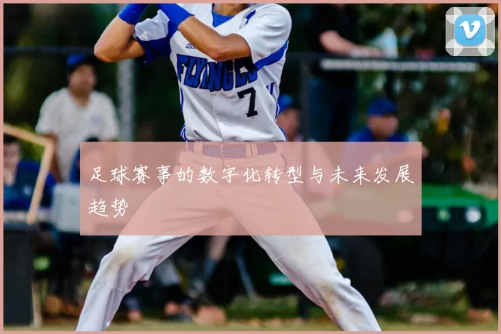 足球赛事的数字化转型与未来发展趋势