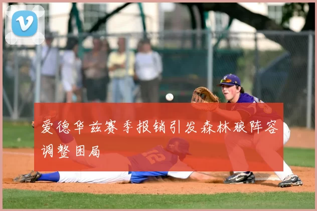 爱德华兹赛季报销引发森林狼阵容调整困局