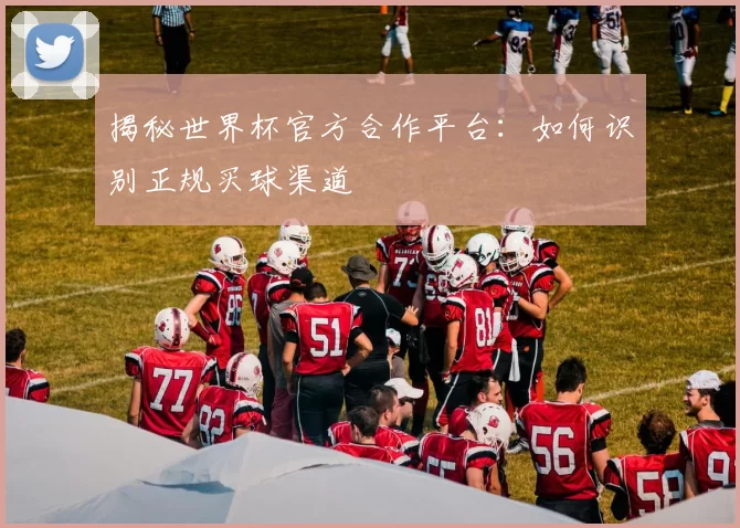揭秘世界杯官方合作平台：如何识别正规买球渠道