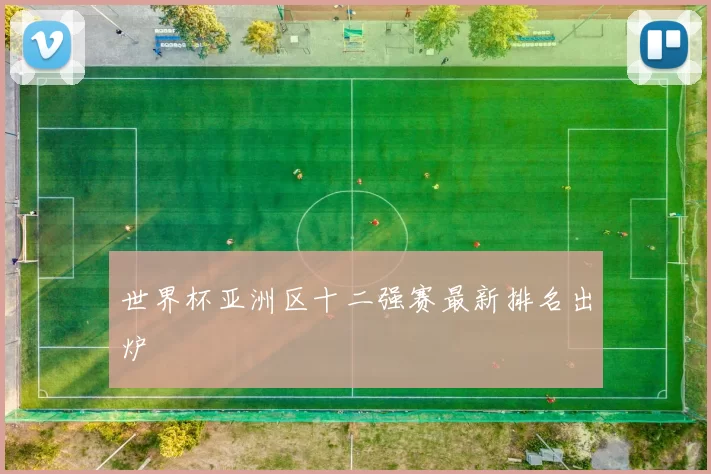 世界杯亚洲区十二强赛最新排名出炉