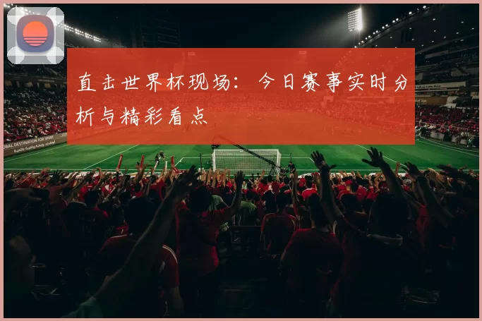 直击世界杯现场：今日赛事实时分析与精彩看点