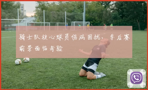 骑士队核心球员伤病困扰,季后赛前景面临考验