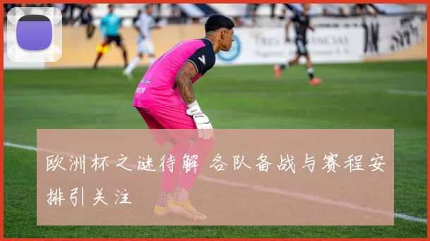 欧洲杯之谜待解 各队备战与赛程安排引关注