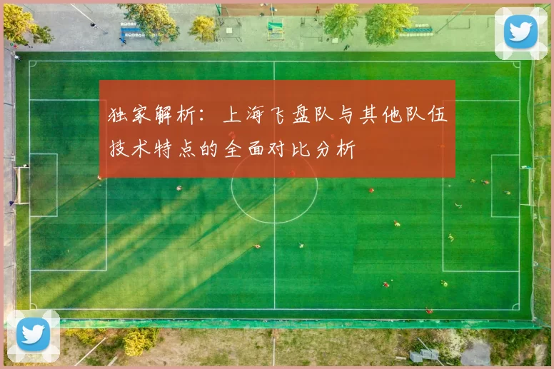 独家解析:上海飞盘队与其他队伍技术特点的全面对比分析