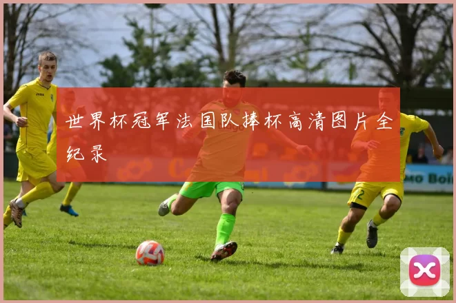 世界杯冠军法国队捧杯高清图片全纪录