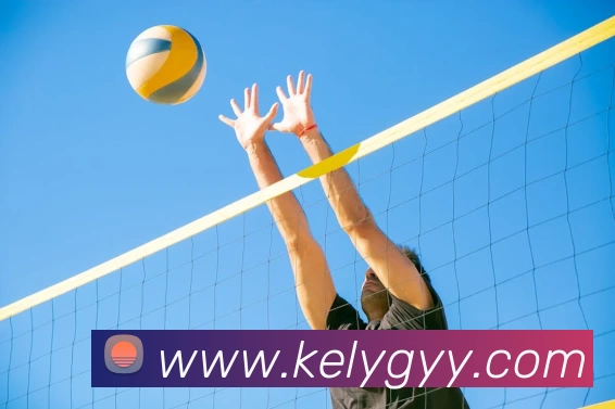 爱游戏体育平台生态图